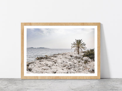 Tree on Rocks near Sea Faded Photograph Glass Framed Wall Art, Ready to Hang Quality Print With White Border Oak