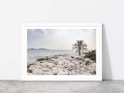 Tree on Rocks near Sea Faded Photograph Glass Framed Wall Art, Ready to Hang Quality Print With White Border White