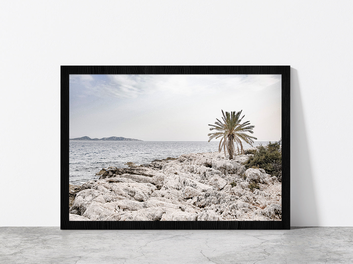 Tree on Rocks near Sea Faded Photograph Glass Framed Wall Art, Ready to Hang Quality Print Without White Border Black