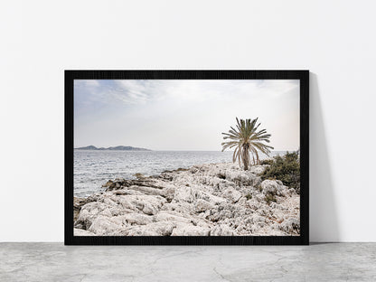 Tree on Rocks near Sea Faded Photograph Glass Framed Wall Art, Ready to Hang Quality Print Without White Border Black