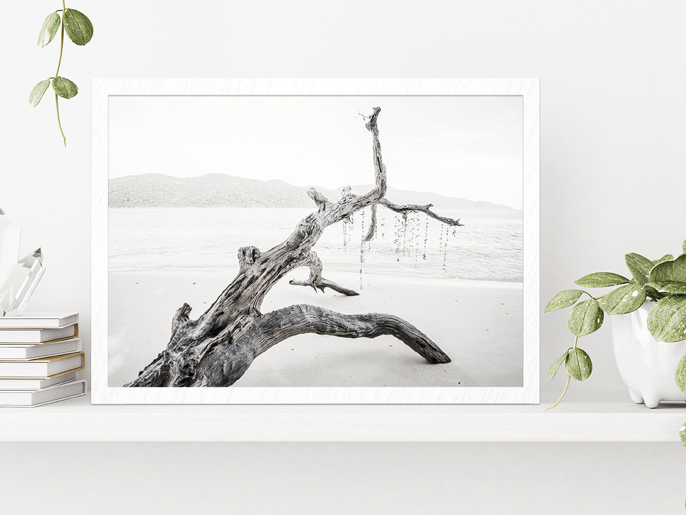Tree Trunk Near Lake Faded Photograph Glass Framed Wall Art, Ready to Hang Quality Print Without White Border White