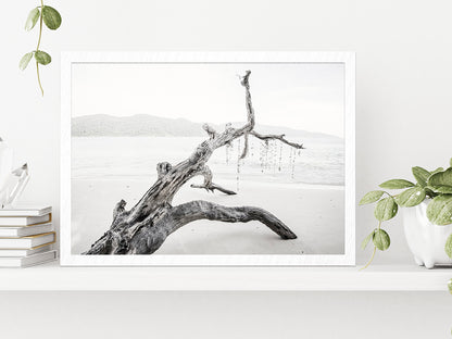 Tree Trunk Near Lake Faded Photograph Glass Framed Wall Art, Ready to Hang Quality Print Without White Border White