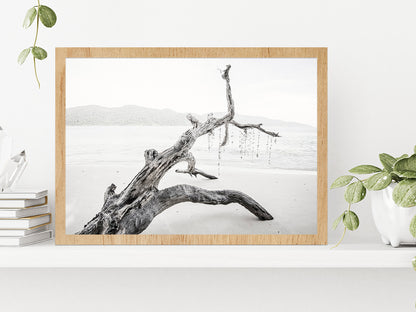 Tree Trunk Near Lake Faded Photograph Glass Framed Wall Art, Ready to Hang Quality Print Without White Border Oak