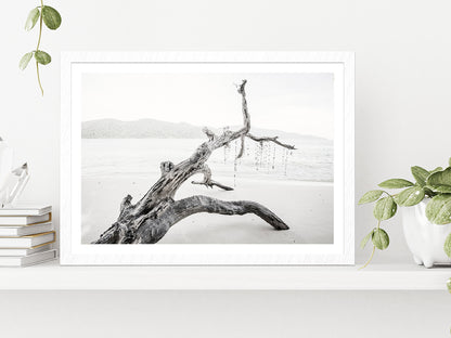 Tree Trunk Near Lake Faded Photograph Glass Framed Wall Art, Ready to Hang Quality Print With White Border White