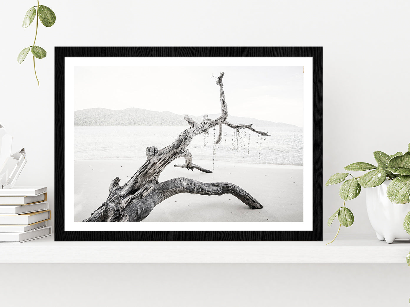 Tree Trunk Near Lake Faded Photograph Glass Framed Wall Art, Ready to Hang Quality Print With White Border Black