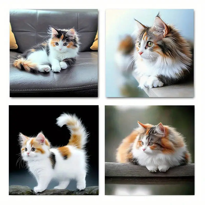 4pcs Fluffy Cat And Koi Fis Pictu Theme Wall Art Canvas Framed