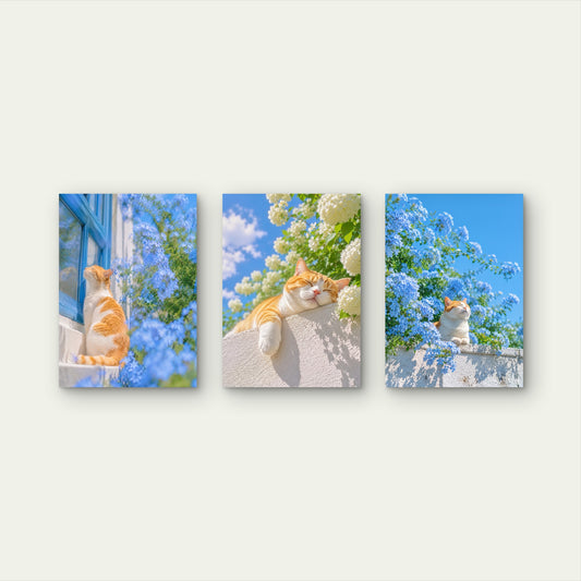 3pcs Cute Ginger Cat Sleeping Blue Flowers Wall Art Set Canvas Framed 40x60cm - High Quality Print 100% Australian Made Wall Canvas Ready to Hang
