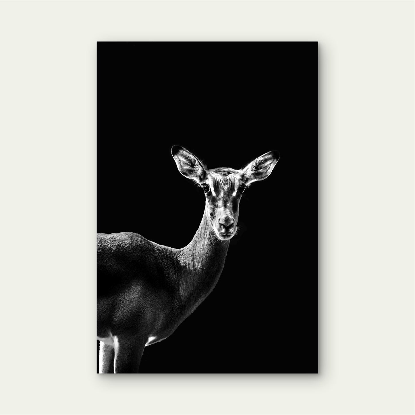 High Contrast Deer Photography 60x90cm Metal Print Ready to Hang