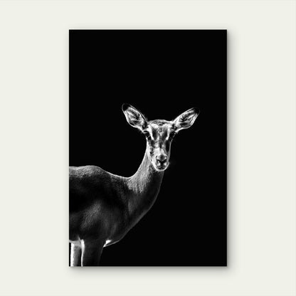 High Contrast Deer Photography 60x90cm Metal Print Ready to Hang