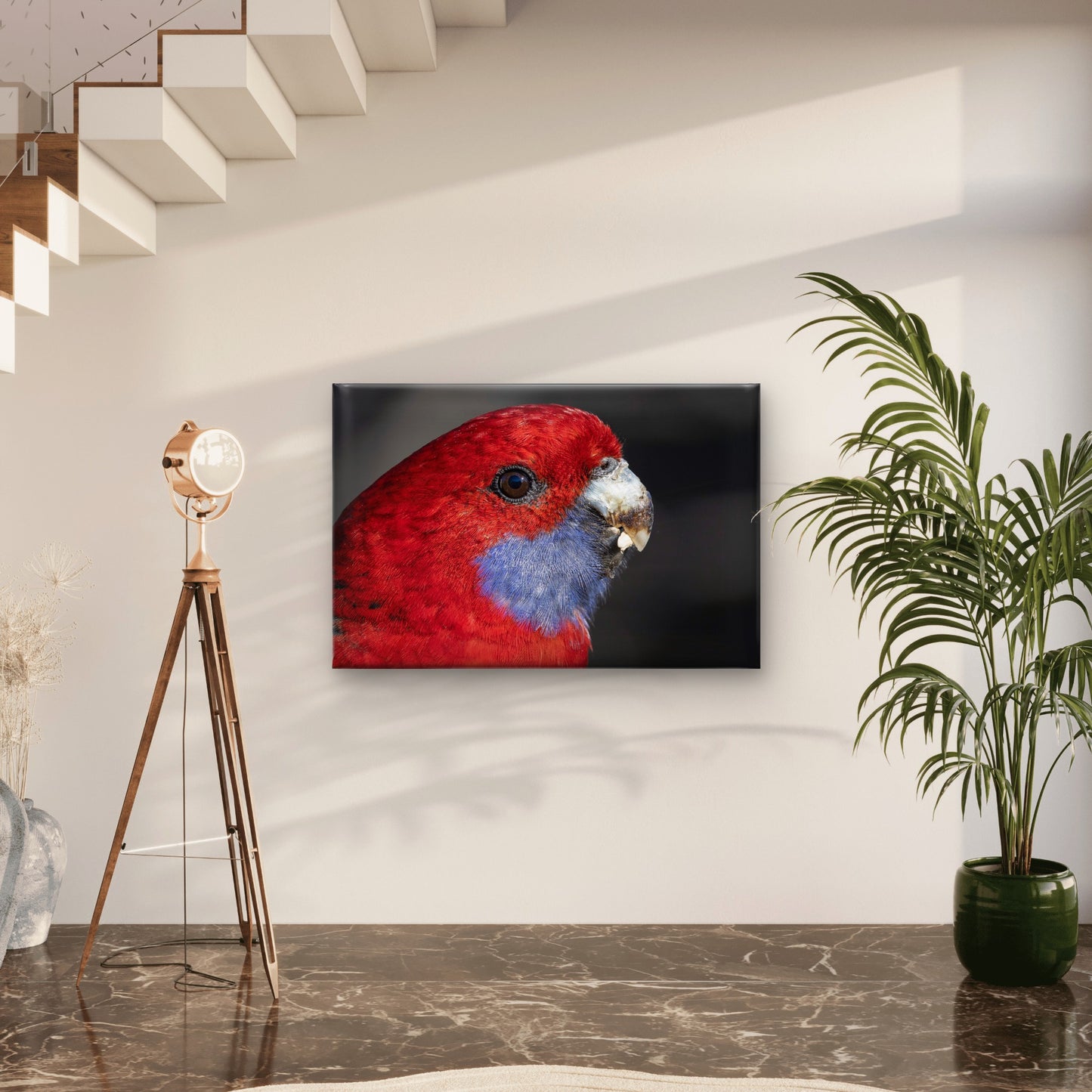 Crimson Rosella Canberra ACT Wall Art Decor 100% Australian Made