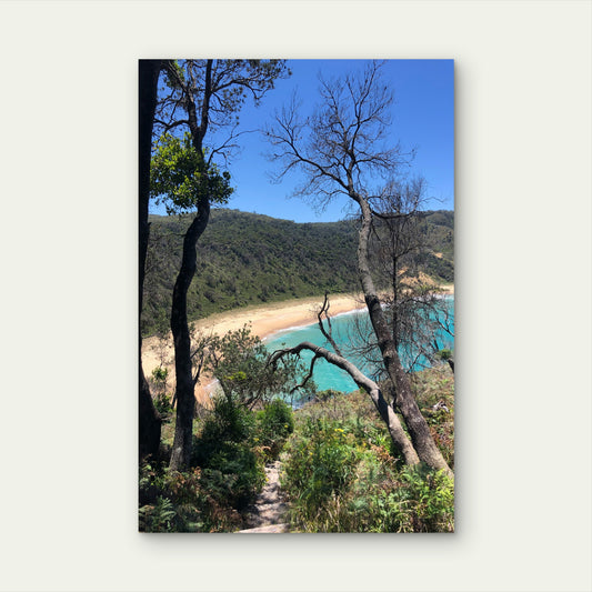 Steamers Beach Jervis Bay NSW Australia 40x60cm Metal Print Ready to Hang
