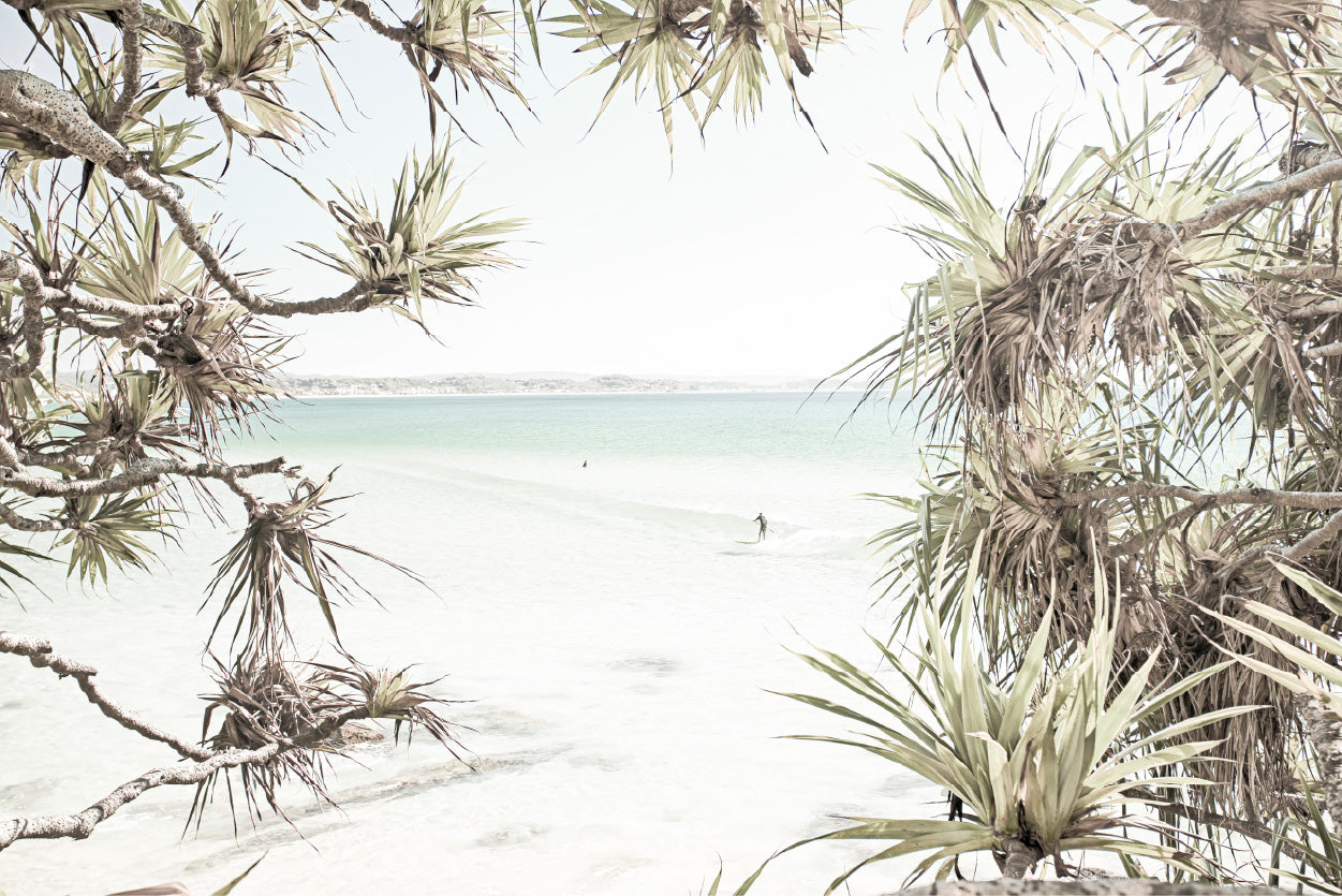 Trees near Surf Beach Faded Photograph Glass Framed Wall Art, Ready to Hang Quality Print