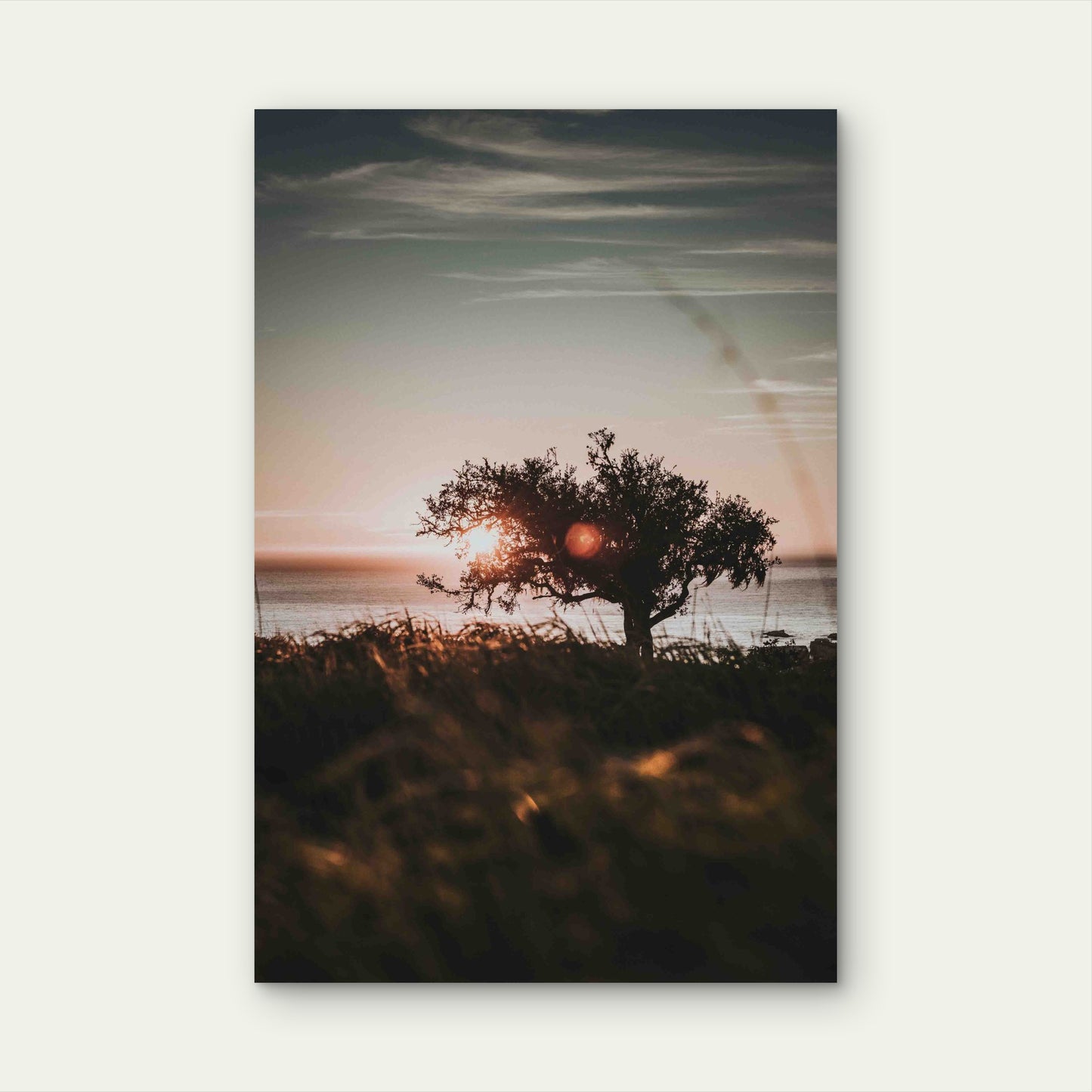 Vertical Shore of a Tree on the Shore 60x90cm Metal Print Ready to Hang