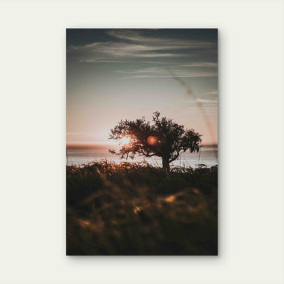 Vertical Shore of a Tree on the Shore 60x90cm Metal Print Ready to Hang