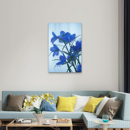 Blue Violet Balloon Flowers 60x90cm Metal Print Ready to Hang