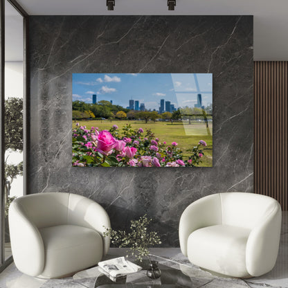 Brisbane New Farm Park Pink Rose Skyline Acrylic Glass Printing Wall Art Australian Made Quality