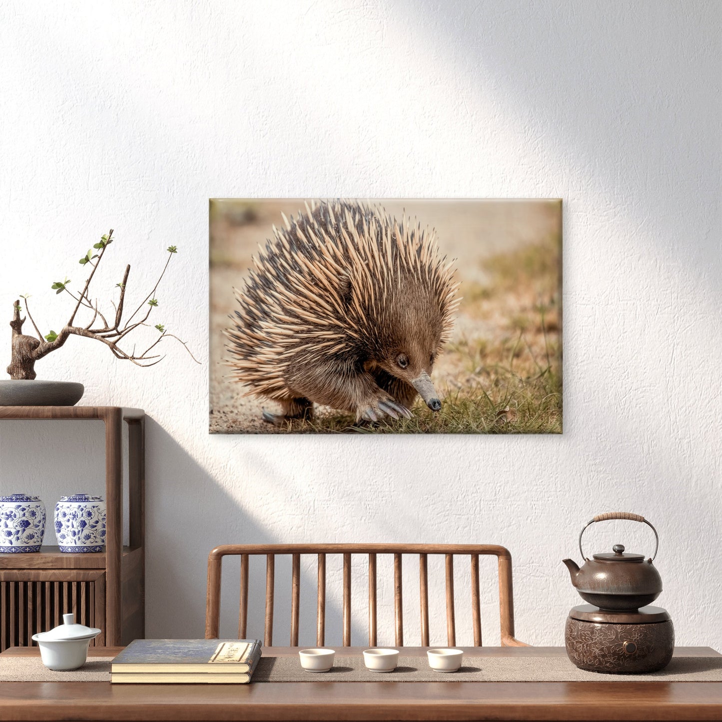 Echidna Australia Close-Up Wall Art Decor 100% Australian Made