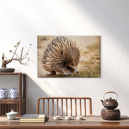 Echidna Australia Close-Up Wall Art Decor 100% Australian Made