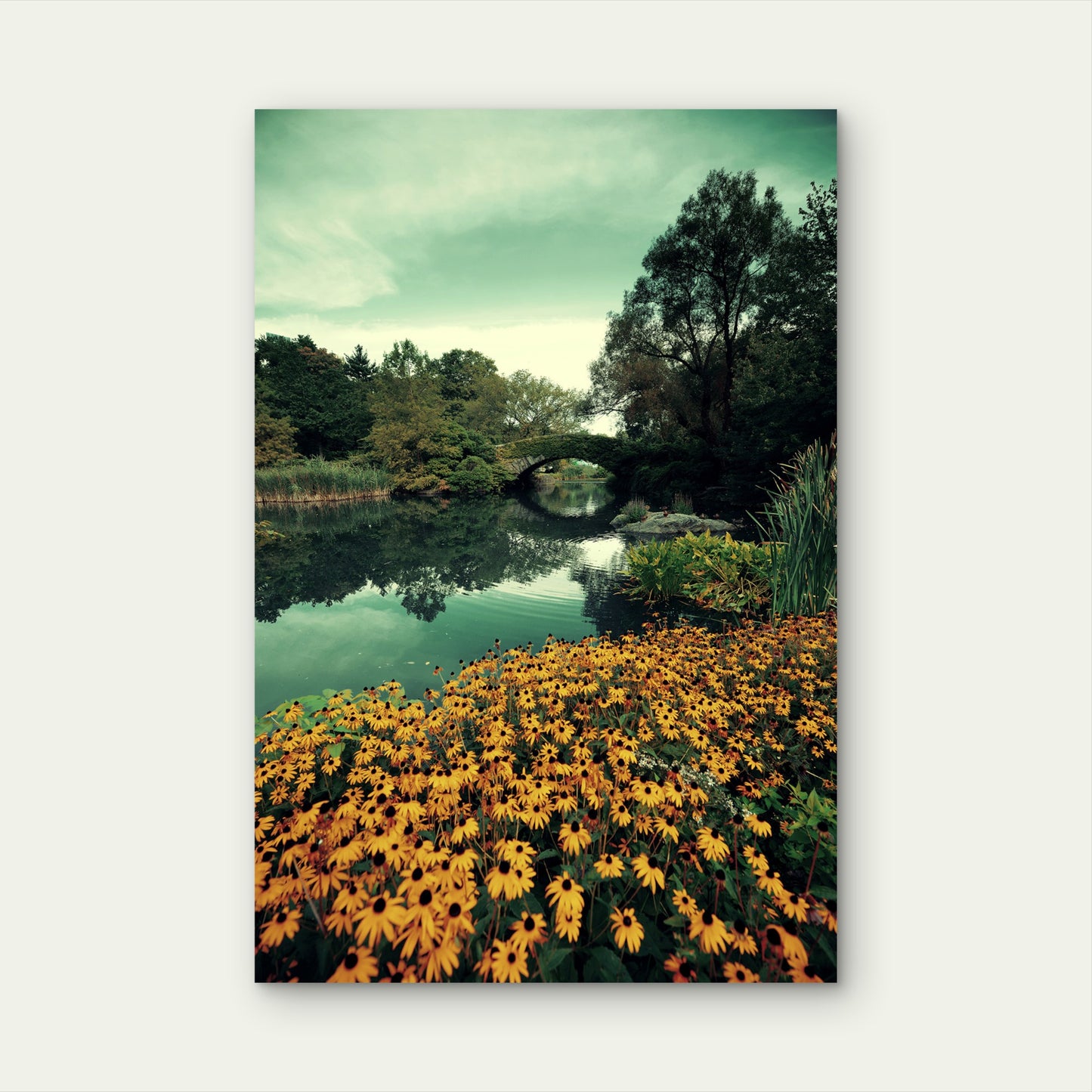 Yellow Flower Garden Stone Bridge Pond 40x60cm Metal Print Ready to Hang