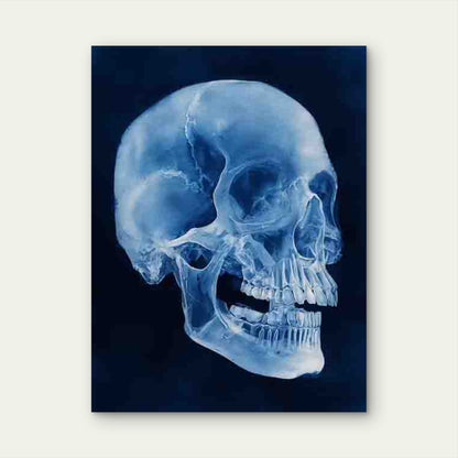 Skull Teeth Pan X-Ray Dental Anatomy Metal Print Ready to Hang