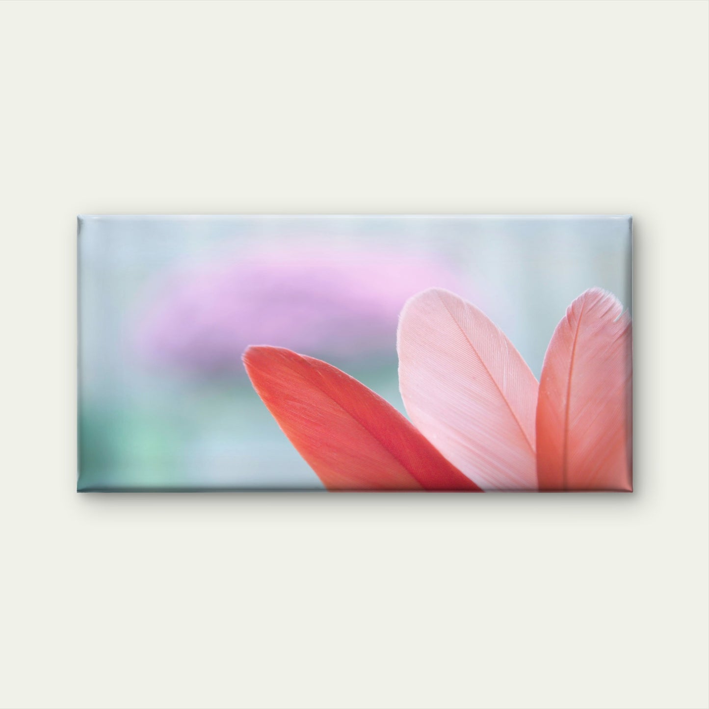 Soft Pink Feather Dreams Wall Art Canvas Office Home Room Framed 120x60cm