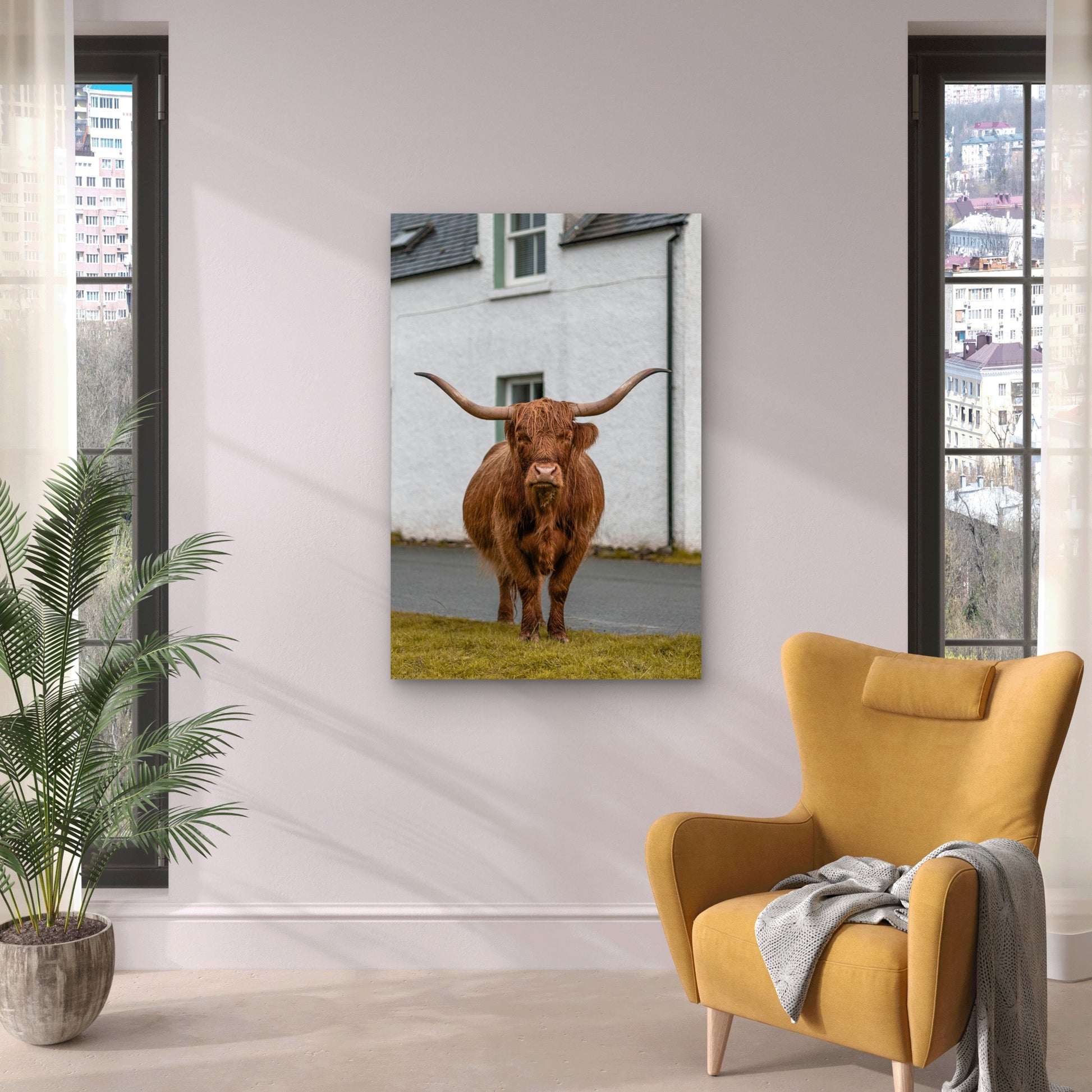 Highland Cow With Long Horns 60x90cm Metal Print Ready to Hang