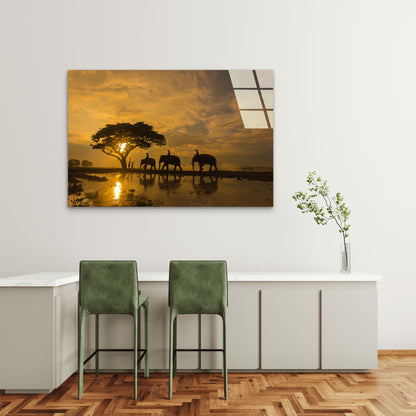Golden Sunset Elephant Tempered Glass Printing Wall Art Australian Made Quality