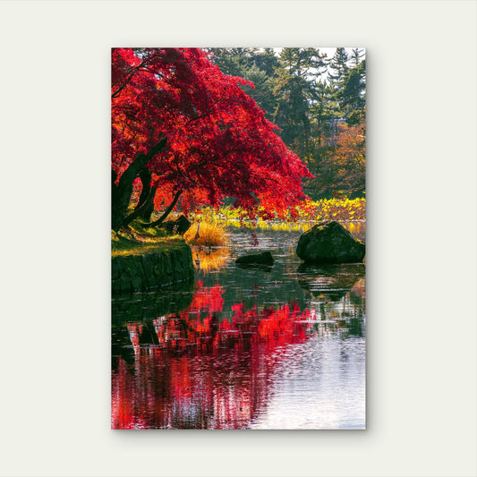Japanese Autumn Garden Red Maple Pond 40x60cm Metal Print Ready to Hang