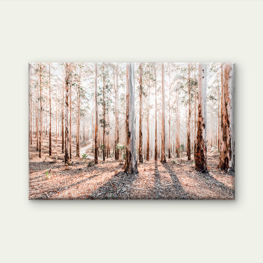 Faded Gum Tree Forest Neutral Color Wall Art Decor 100% Australian Made