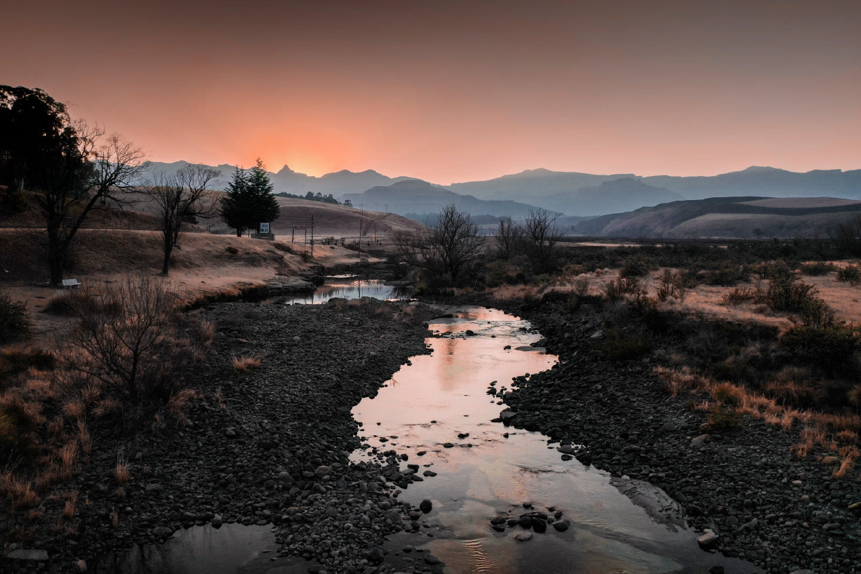 Water Running Through Dry Grass and Trees Home Decor Premium Quality Poster Print Choose Your Sizes