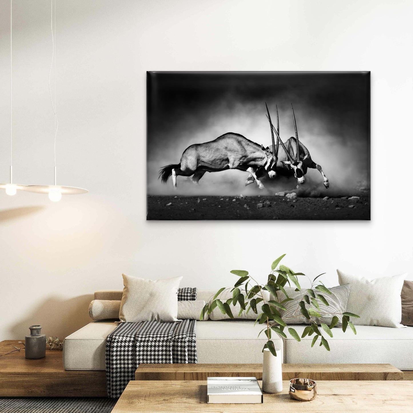 Gemsbok Antelope Fighting Namibia Wall Art Decor 100% Australian Made