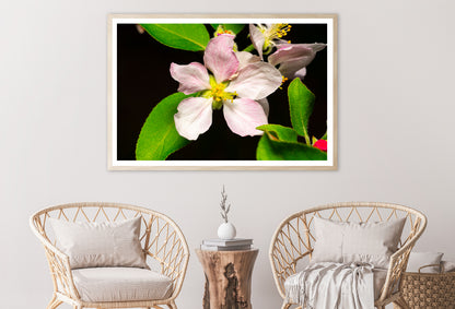 Beautiful Bloomed Apple Flowers Home Decor Premium Quality Poster Print Choose Your Sizes