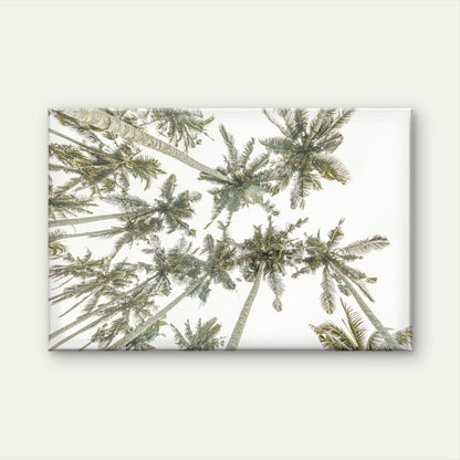 Bohemian Tropical Palm Trees Florida Beach Wall Art Decor 100% Australian Made