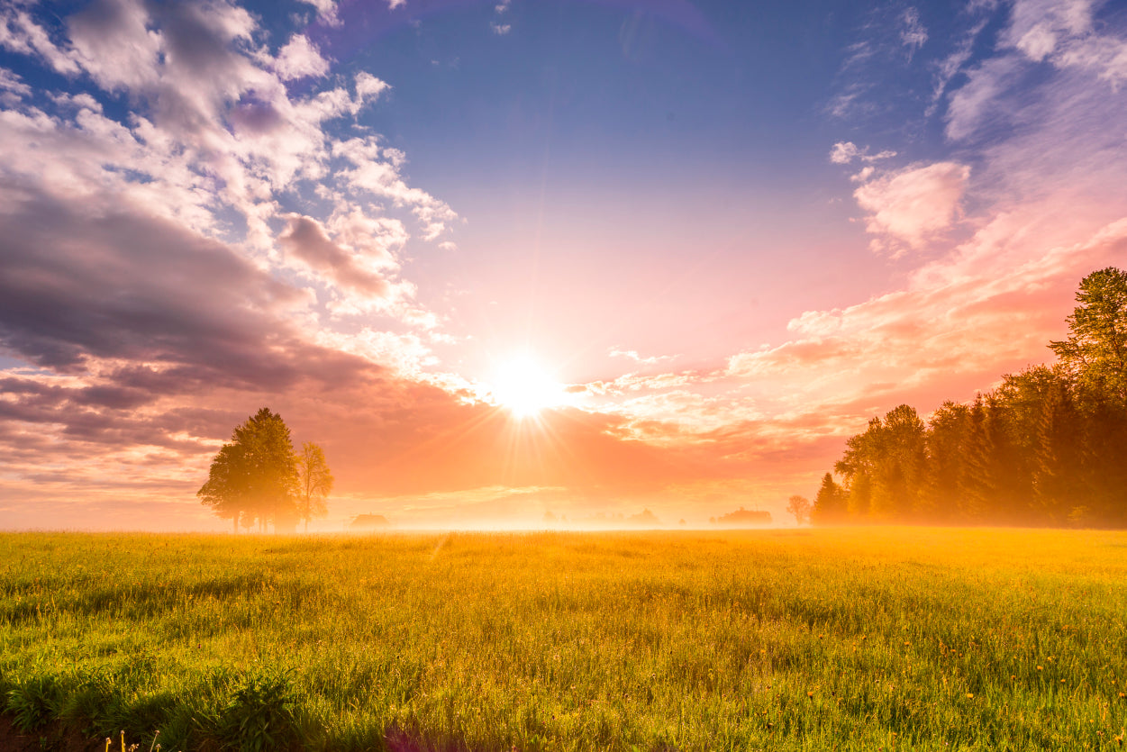 Sunrise in the Black Forest with Meadows Home Decor Premium Quality Poster Print Choose Your Sizes