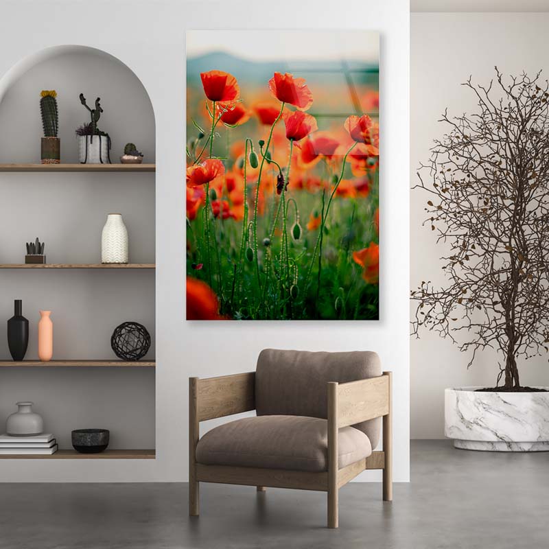 Blooming Red Poppies Acrylic Glass Print Tempered Glass Wall Art 100% Made in Australia Ready to Hang