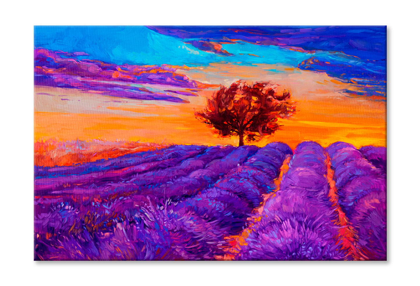 Lavender Fields Oil Painting Wall Art Limited Edition High Quality Print Stretched Canvas None