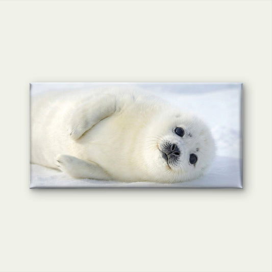 Baby Harp Seal Snow Arctic Wall Art Canvas Office Home Room Framed 120x60cm