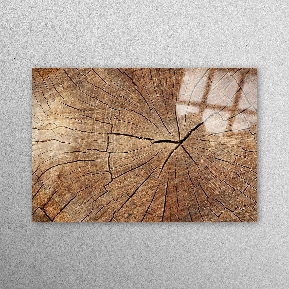 Brown Tree Ring Acrylic Glass Print Tempered Glass Wall Art 100% Made in Australia Ready to Hang