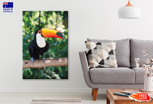 Largest And Best-Known Toucan Species Wall Art Decor 100% Australian Made