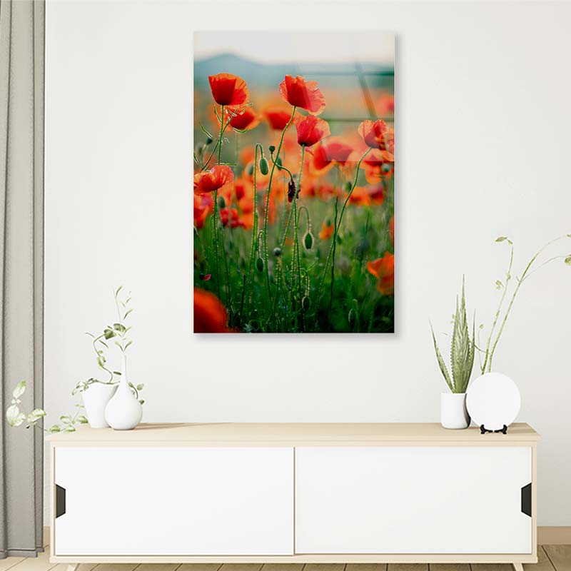 Blooming Red Poppies Acrylic Glass Print Tempered Glass Wall Art 100% Made in Australia Ready to Hang