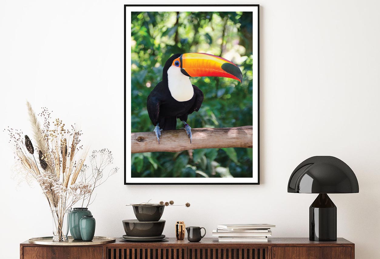 Largest And Best-Known Toucan Species Home Decor Premium Quality Poster Print Choose Your Sizes