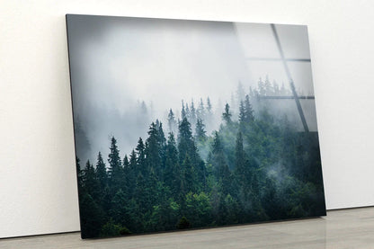 Misty Forest Photograph UV Direct Aluminum Print Australian Made Quality