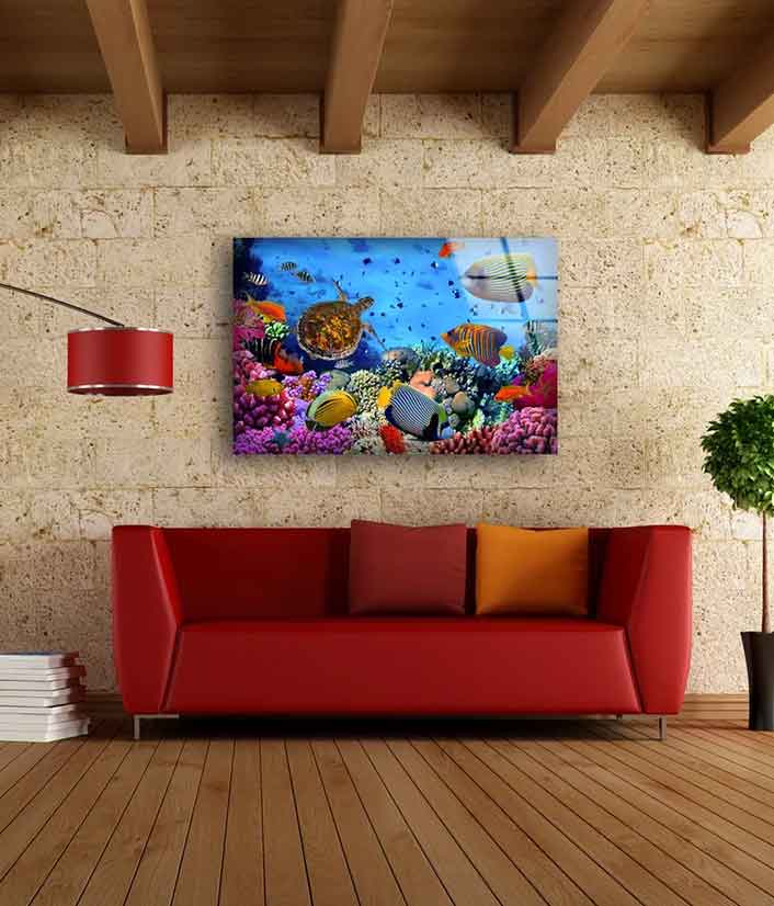 Under Water Fish Corals UV Direct Aluminum Print Australian Made Quality