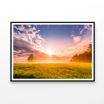 Sunrise in the Black Forest with Meadows Home Decor Premium Quality Poster Print Choose Your Sizes