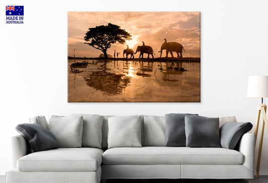 Three Elephants at the Glowing Sunset  Wall Art Decor 100% Australian Made