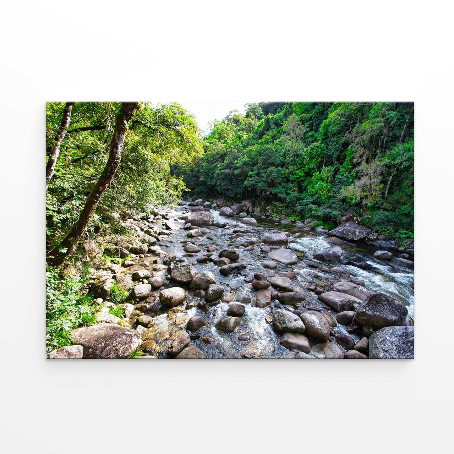 Daintree Rainforest Queensland Mossman Gorge Wall Art Decor 100% Australian Made