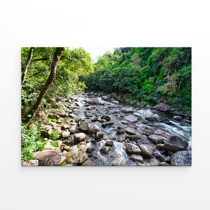 Daintree Rainforest Queensland Mossman Gorge Wall Art Decor 100% Australian Made
