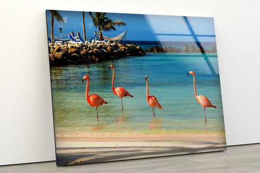 Flamingos on Sea View UV Direct Aluminum Print Australian Made Quality