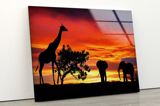 Giraffe & Elephants UV Direct Aluminum Print Australian Made Quality