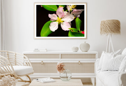 Beautiful Bloomed Apple Flowers Home Decor Premium Quality Poster Print Choose Your Sizes